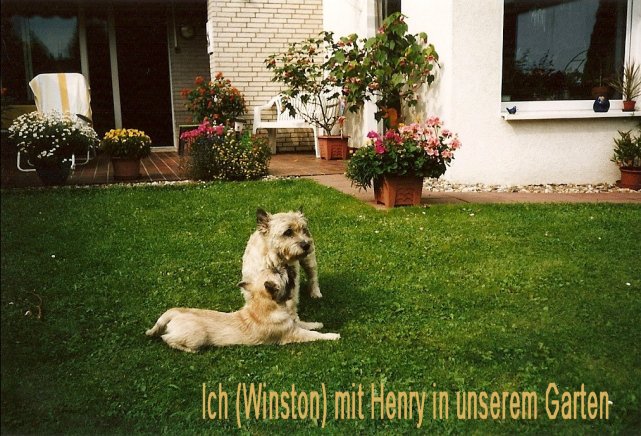 henry-und-winston1_k