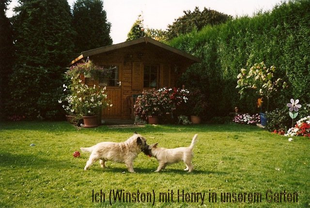 henry-und-winston_k