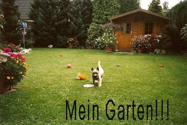 winston-garten_k